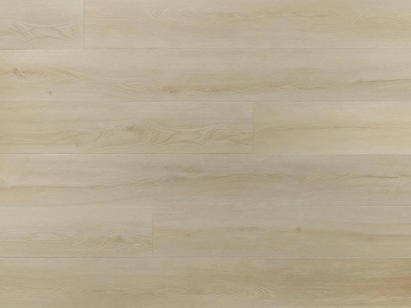 Charlotte Oak AI133